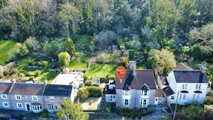 Wide Plot- click for photo gallery